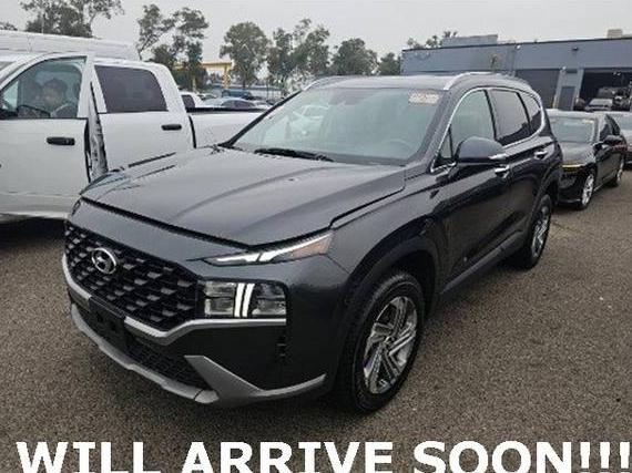 HYUNDAI SANTA FE 2023 5NMS2DAJ4PH523033 image